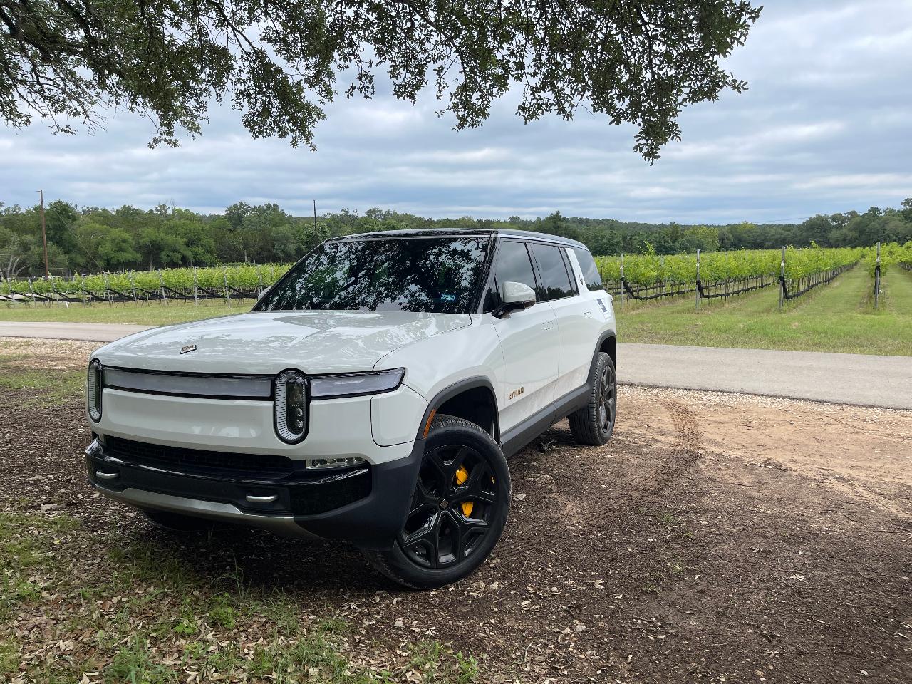 I Drive Y'all Ride: Grape Escape for the Ladies (Your Car) — Texas Hill Country - Photo 3