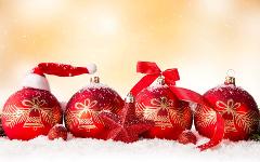 McDermotts Travel Club Christmas Party
