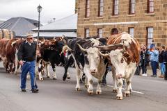 Behind the Scenes - Historic Farms