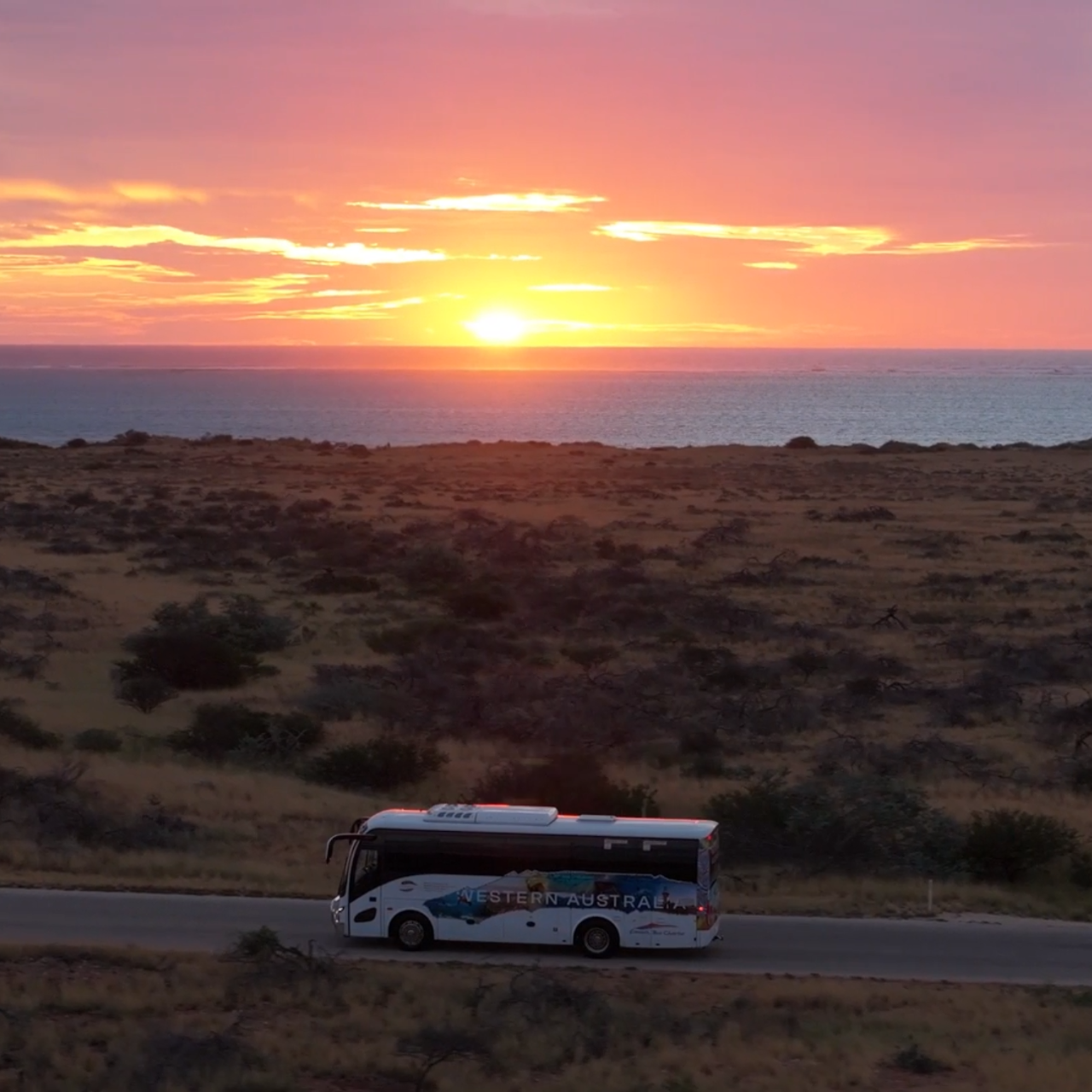 Astronomy Nights With Premium Bus Transfer