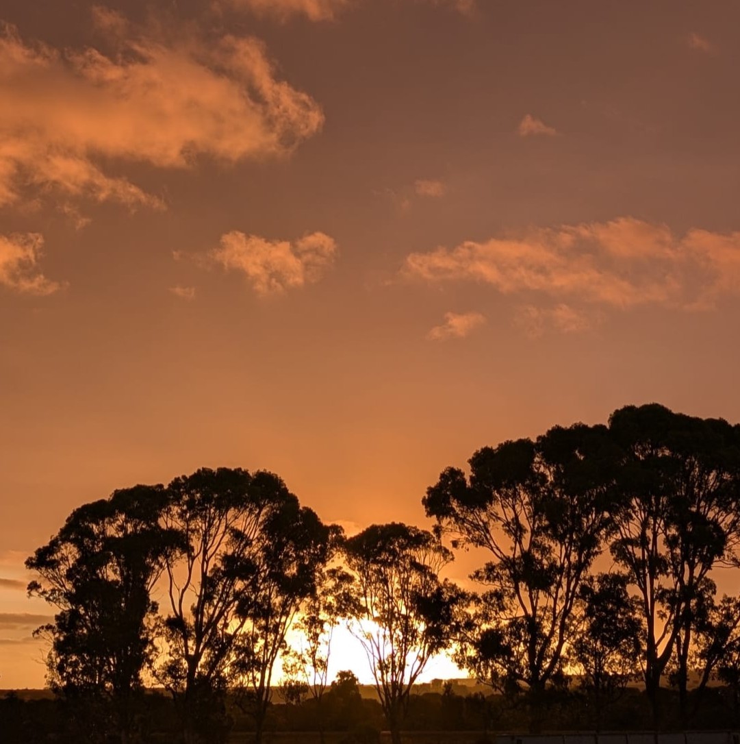 Kalgoorlie Astronomy Night