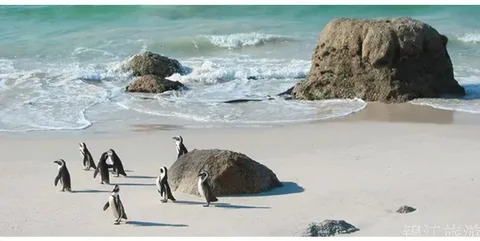 Wilsons prom & Phillip island tour