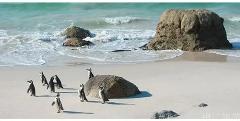 Wilsons prom & Phillip island tour 