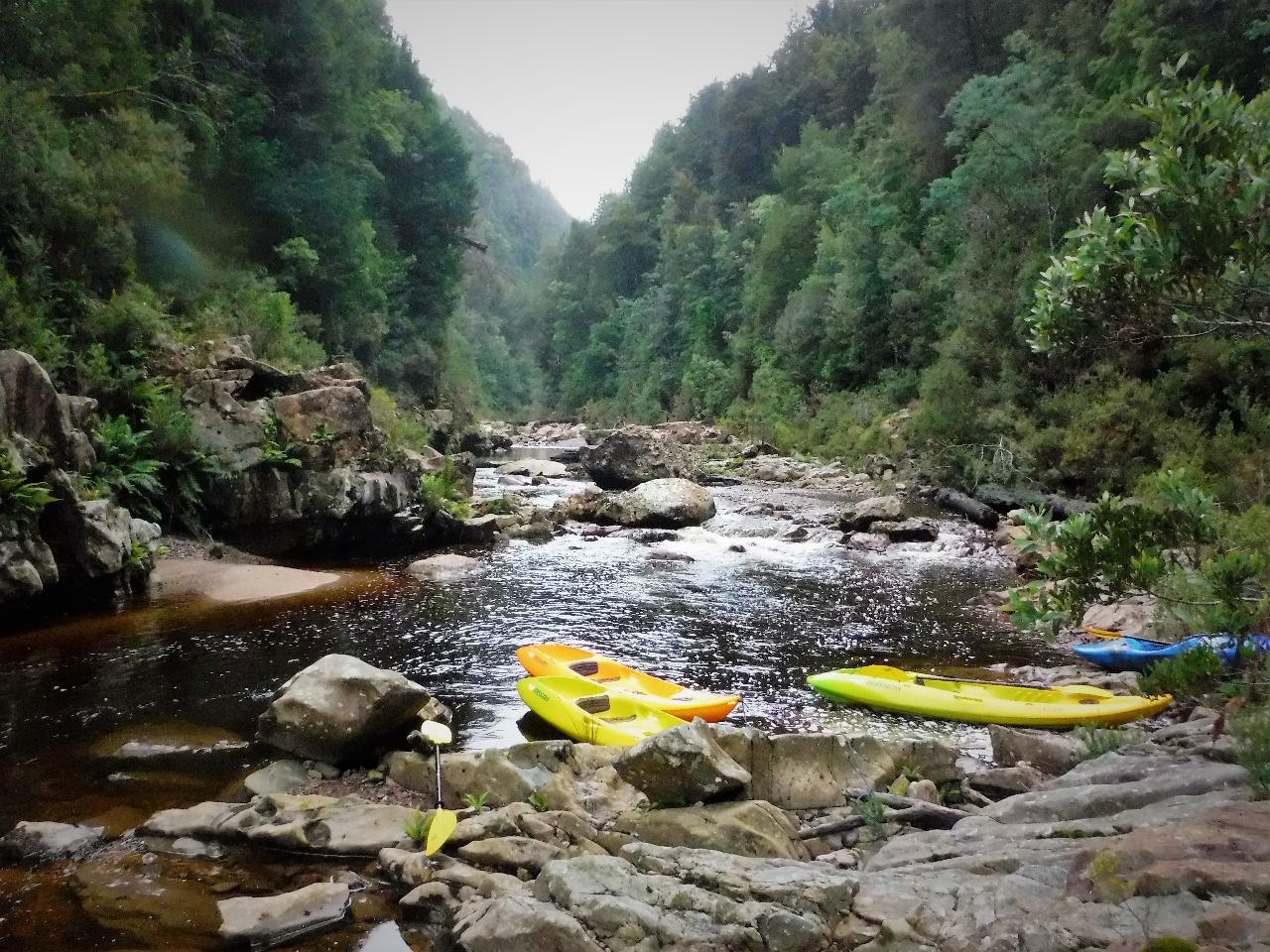 KING RIVER GORGE EXPLORER - King River Rafting Reservations