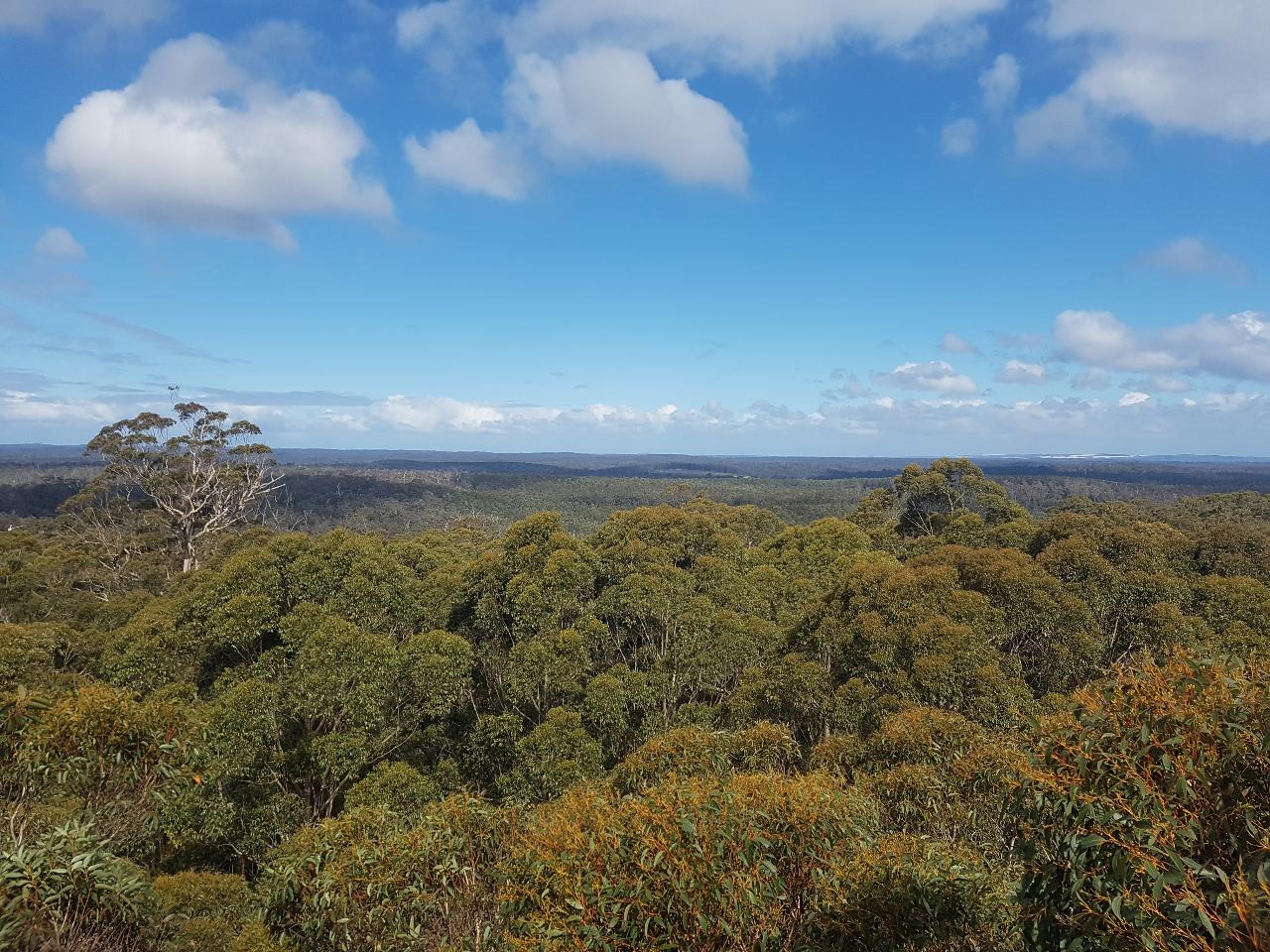 Gloucester Forest Hiking Experience 