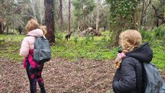 Forest School Half Day Pemberton