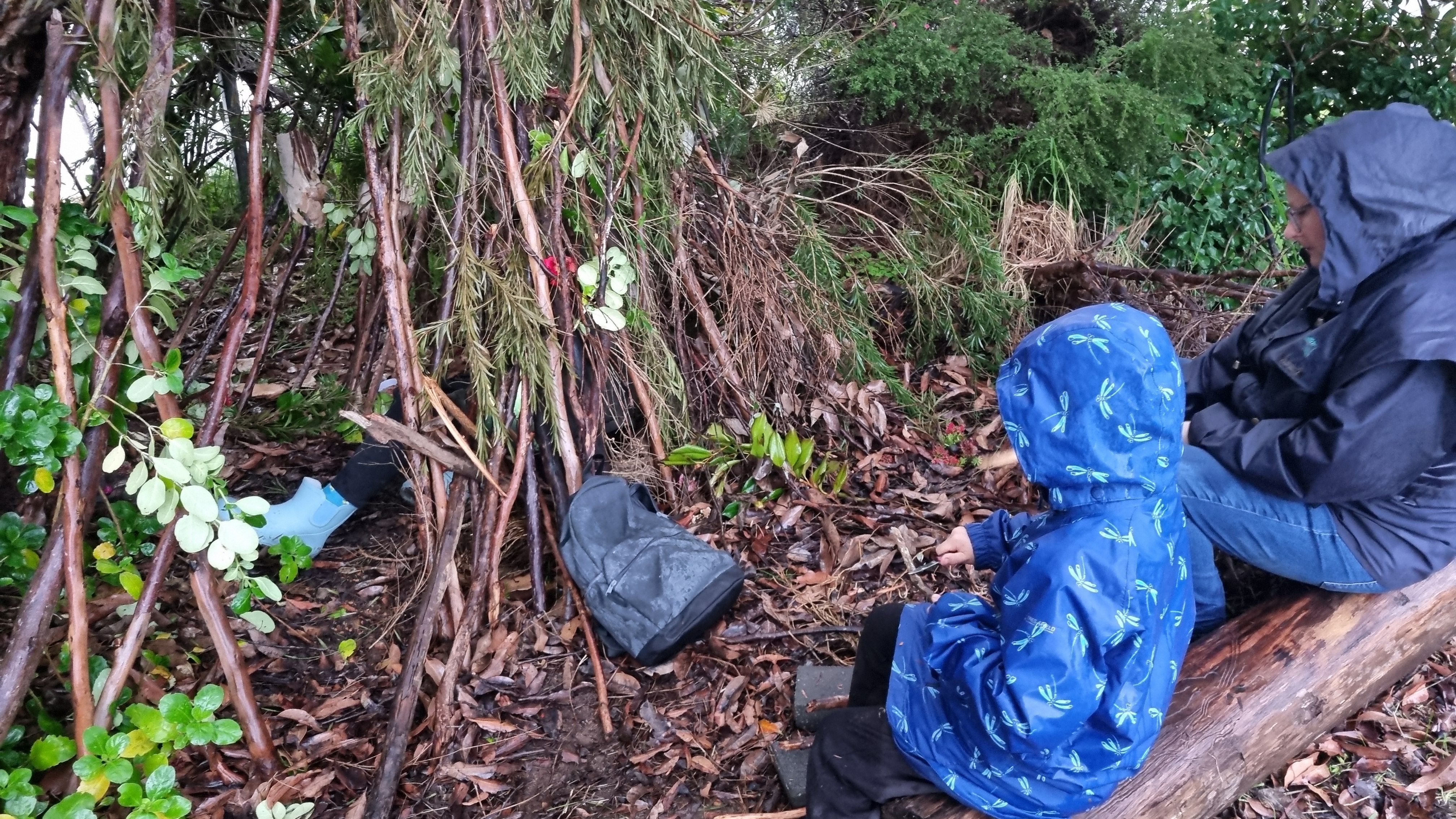 Pemberton Karri Forest Immersion (6+ Years - 4-Hour Drop-Off)
