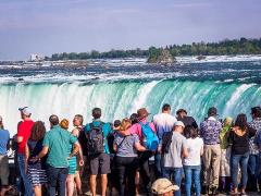 Toronto To Niagara Falls Small Group Custom Tour (1-6 people)
