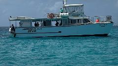 Full Day Great Barrier Reef Snorkelling Tour