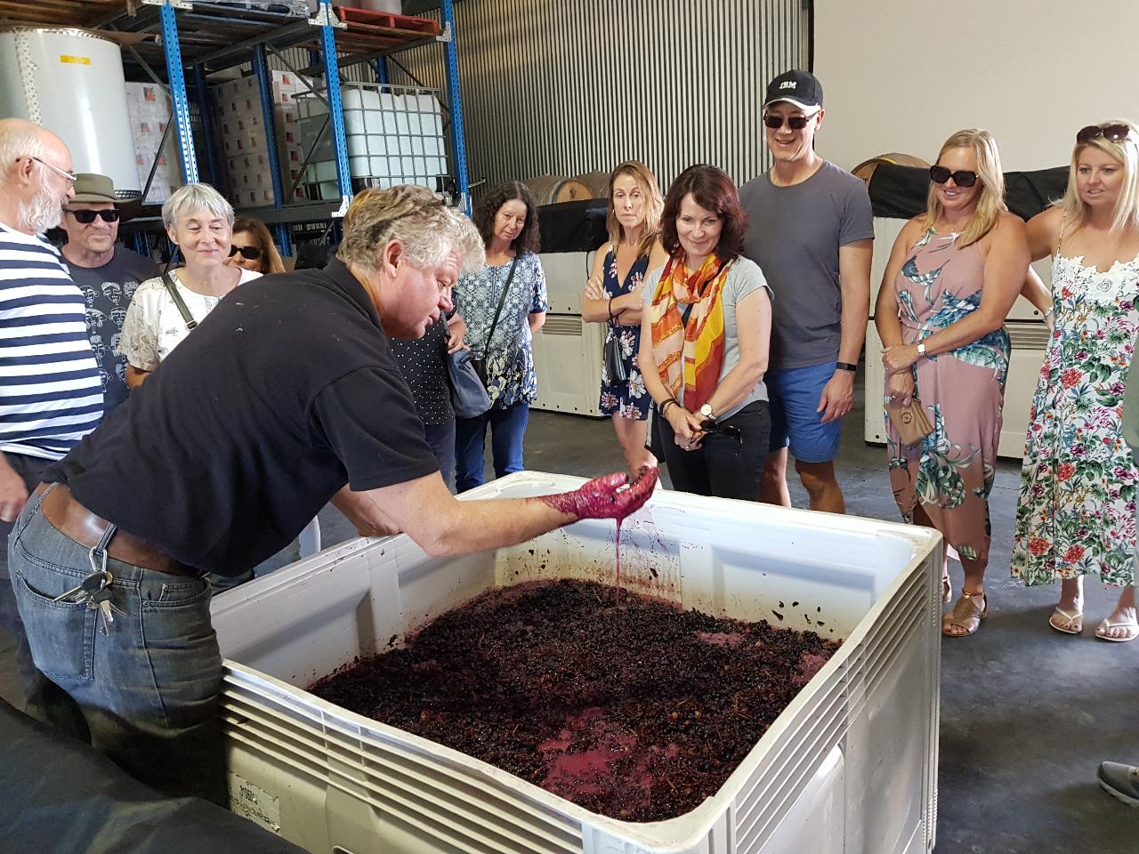 Wine Festival - Vertical Tasting Tour - 3pm Session
