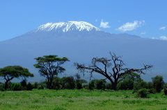 Mount Kilimanjaro Trek