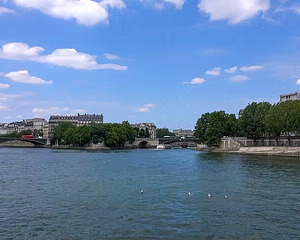 Seine Serenity Cruise with Optional Eiffel Tower Dinner & Champagne