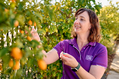 Event - Fruit Picking