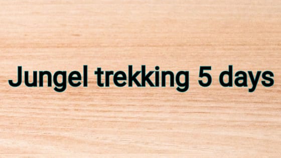 Special Jungle Trek 5 Days