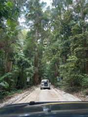 K’gari (Fraser Island) 4WD Camping Package – Brisbane Collection (Self-Drive Adventure)