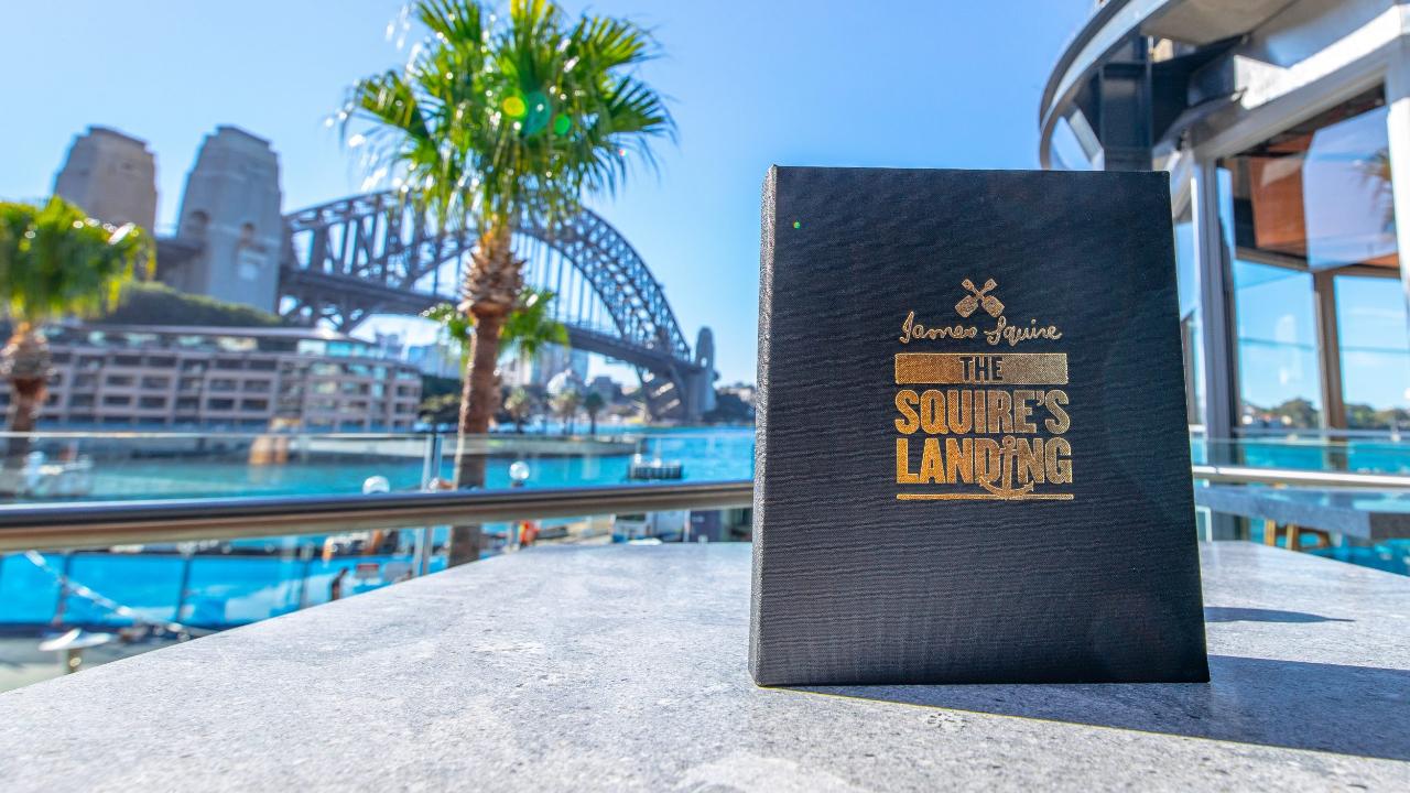 Private Flight and Lunch (The Squire's Landing Brewhouse Circular Quay)