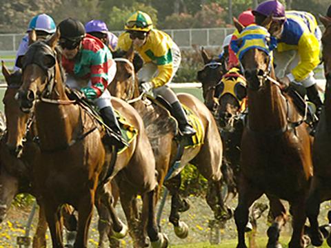 Fly Me to the Races (Private Charter) 25-Minutes