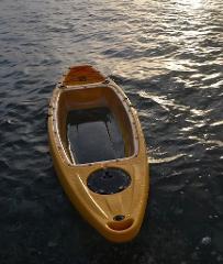 Crystal River: Self Guided Rental - ClearBottom Kayak Three Sisters