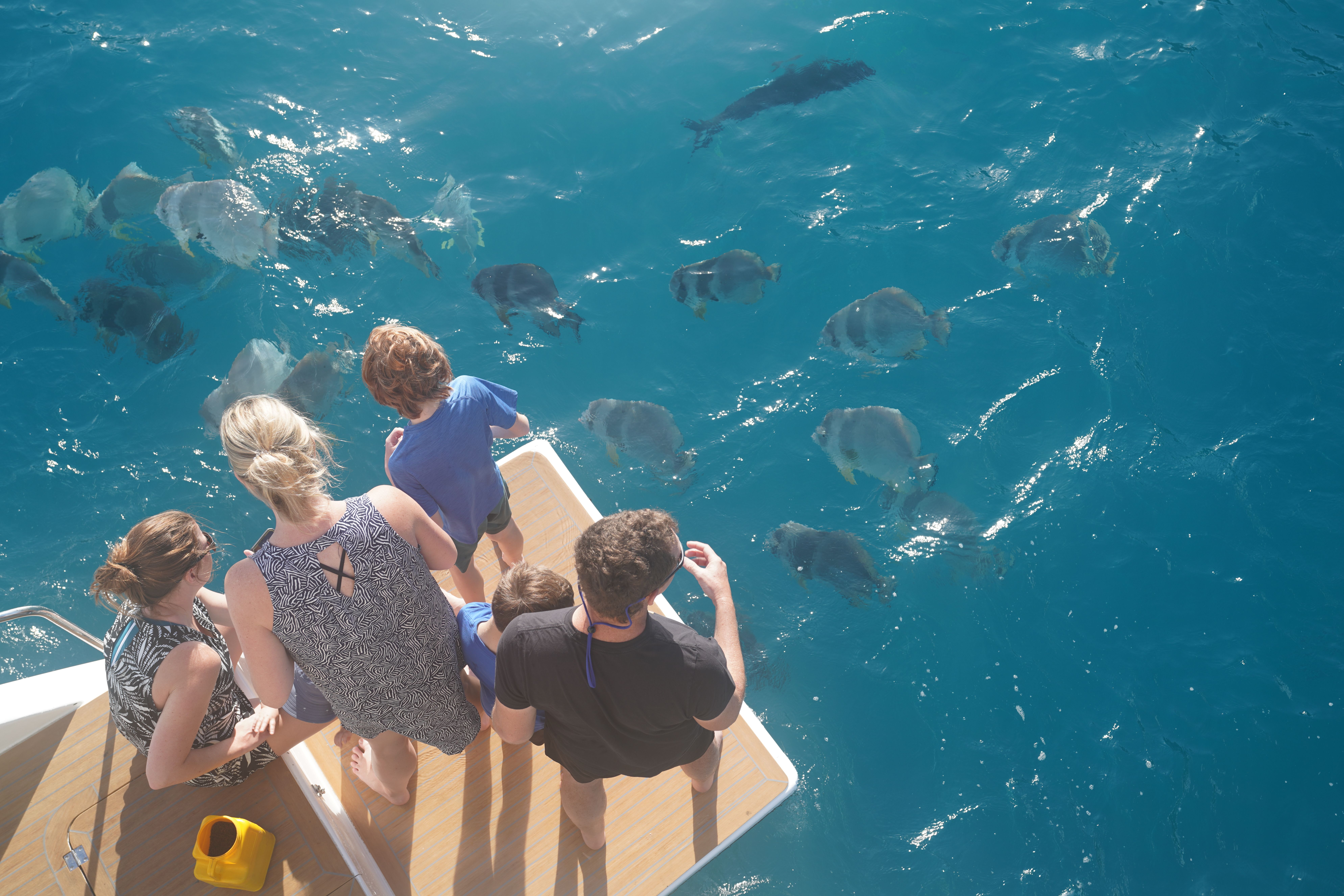 A Whitsunday Islands Sail, SUP & Snorkel Day Tour- Premium NEWEST Whitsundays Day Tour!