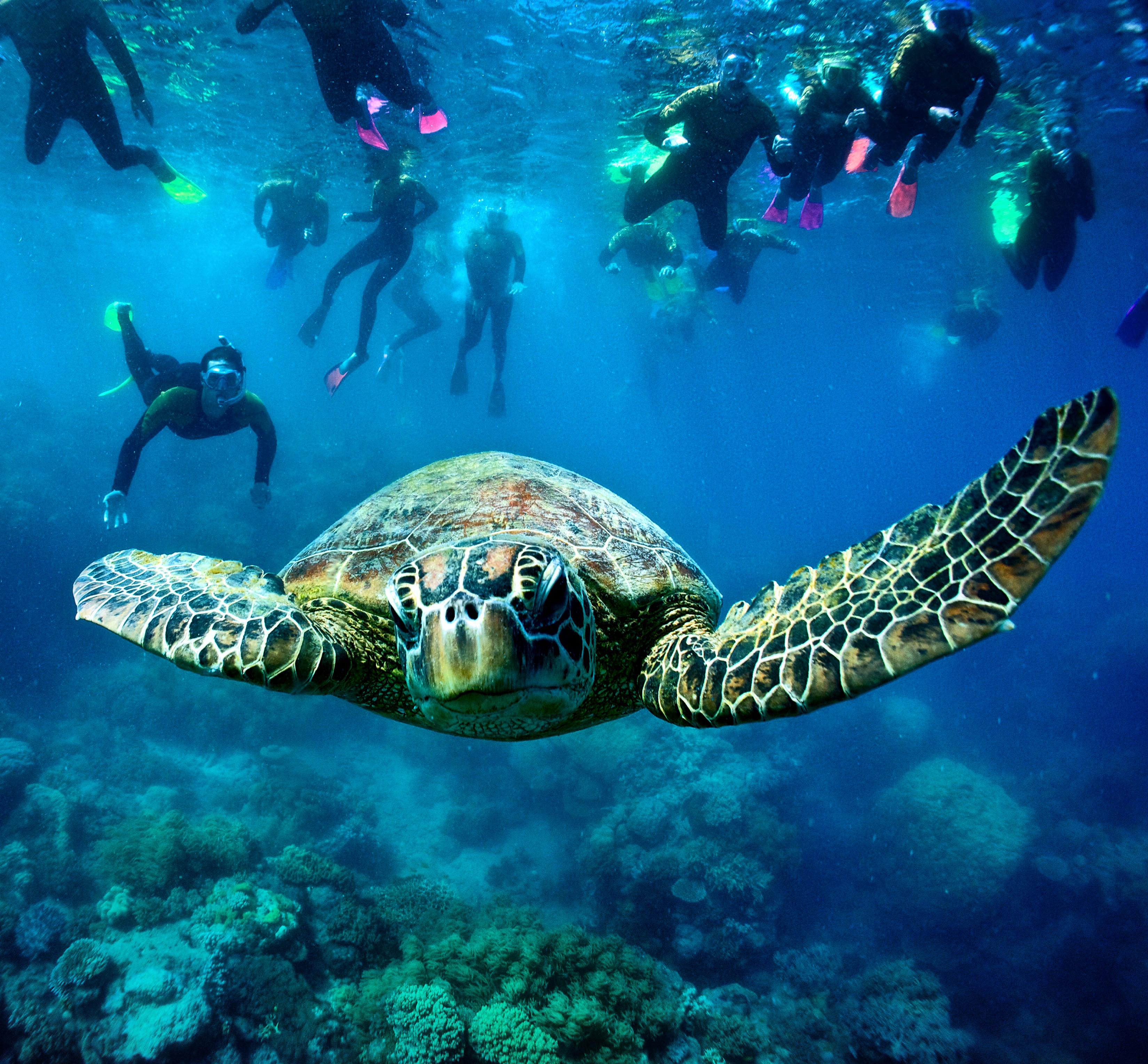 6 day 6 night ALL INCLUSIVE Private Charter