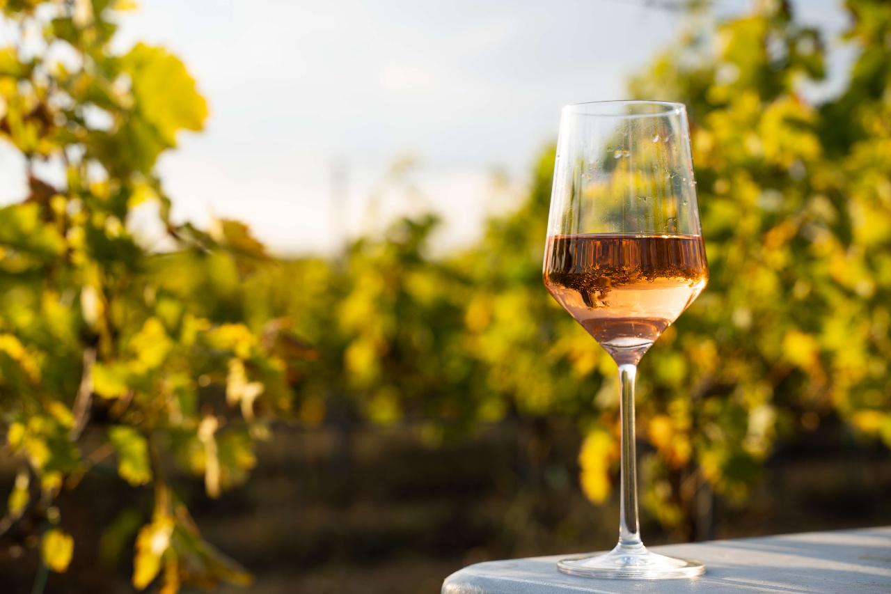 The Greytown Shopper - wine tastings & lunch included. 