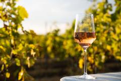 The Greytown Shopper - wine tastings & lunch included. 