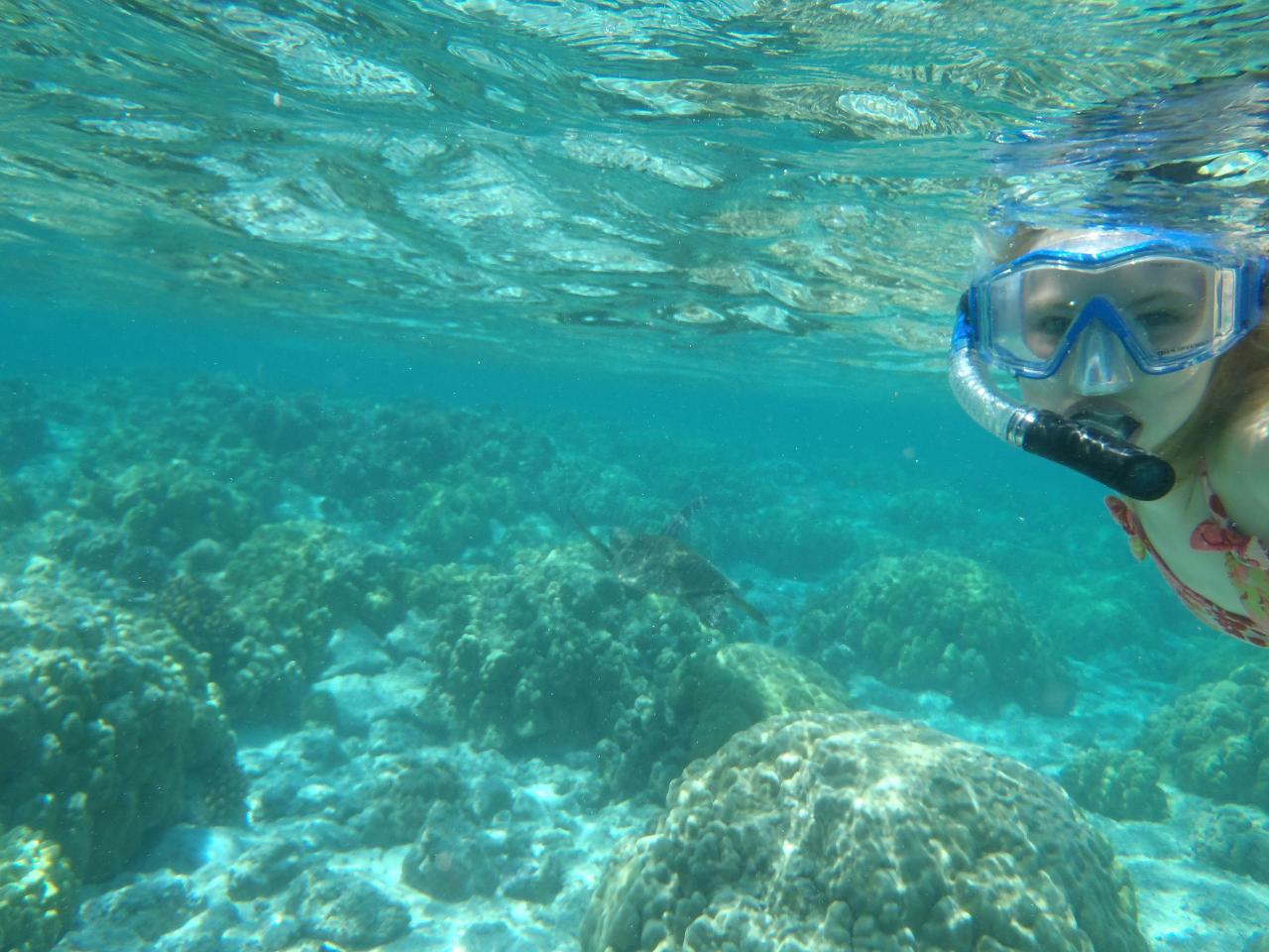 Snorkel Tour in the Ngari marine park