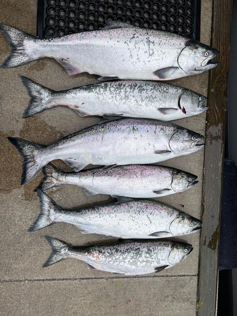 Morning Salmon Charter + CRAB (Shared)