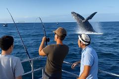 Exclusive Whale & Penguin Watching Encounter