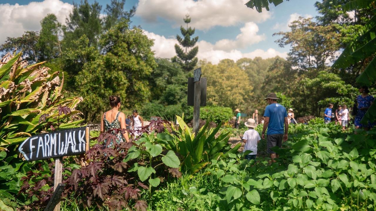 Farm to Plate Experience at Green Thumb Farm