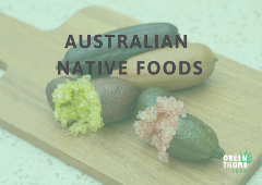 Australian Native Foods