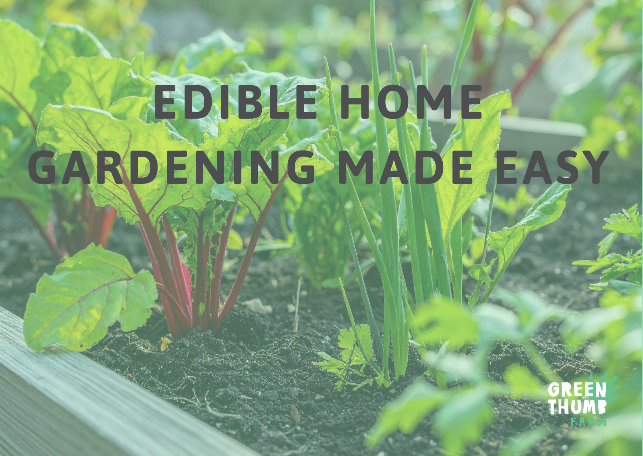 Edible Home Gardening Made Easy
