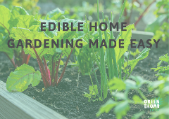 Edible Home Gardening Made Easy