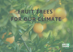 Fruit Trees for our Climate