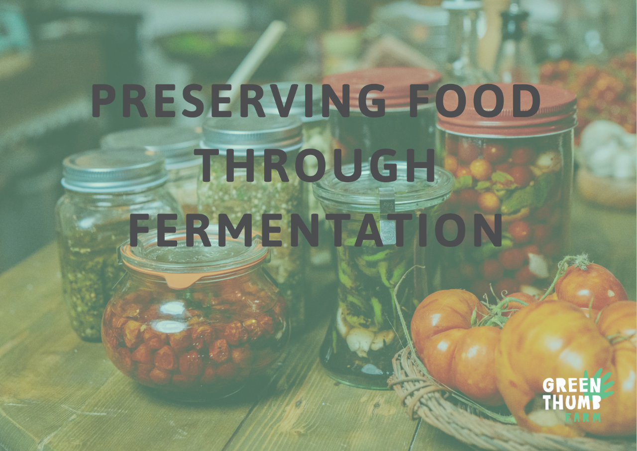 Preserving food through fermentation
