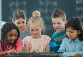Primary School Incursions