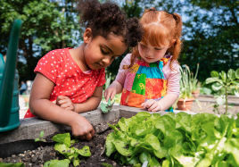 Early Learning Excursions