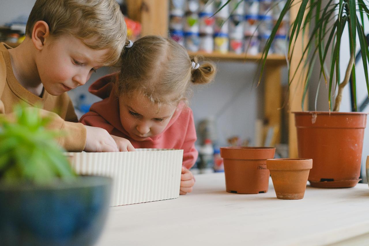 Green Thumb Farm Incursions