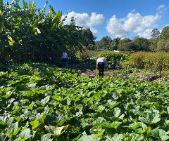 Be a Farmer for a Day