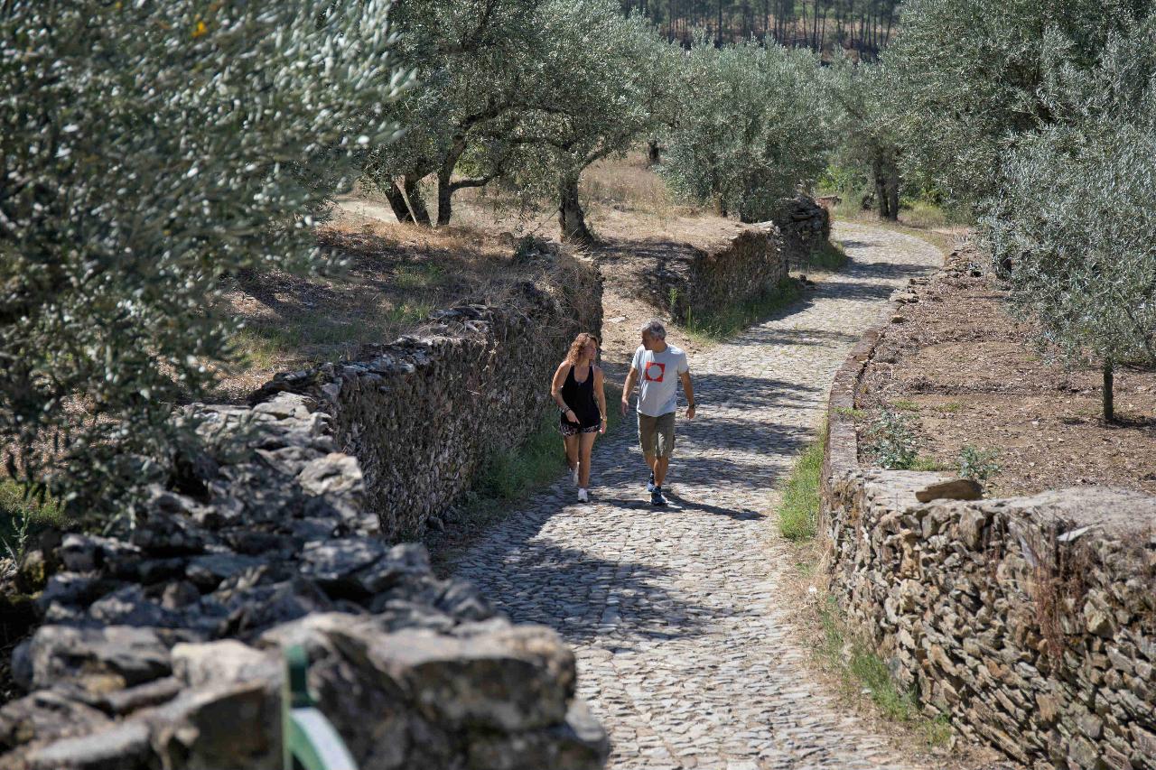 Douro Wine Region wine and food lovers self-guided hike tour 