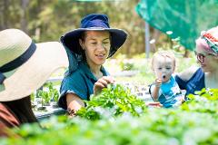 Exclusive Chef's Insight Tour 