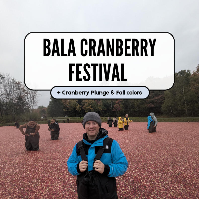 Bala Cranberry Festival & Cranberry Plunge