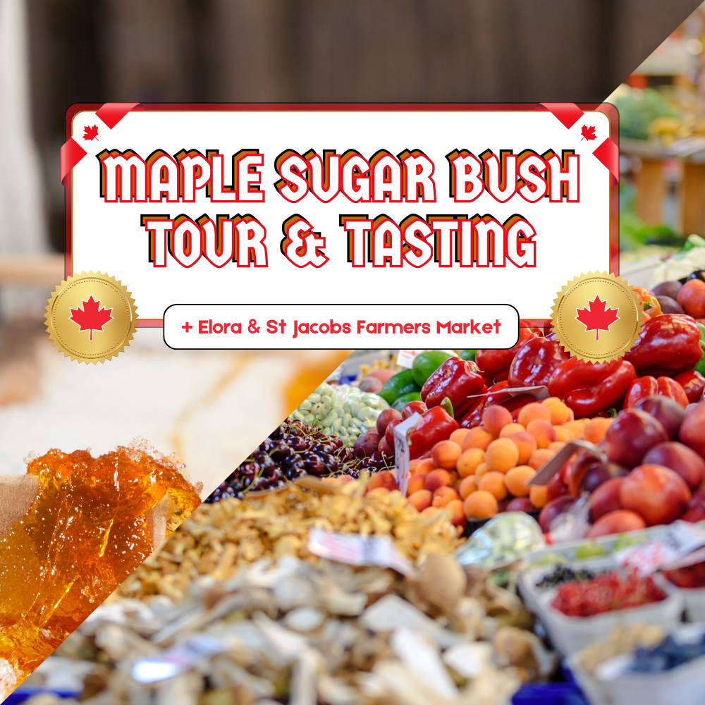 Maple Sugar Bush Tour & Tasting