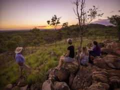 Wildlife at Sunset Tour