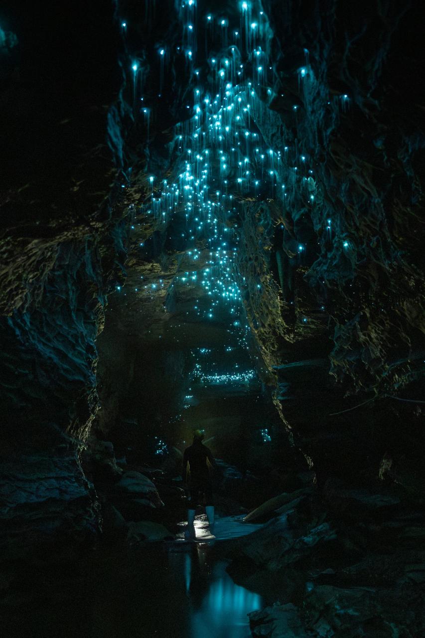 Gift Voucher - Okohua Glowworm Cave Tour