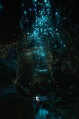 Gift Voucher - Okohua Glowworm Cave Tour