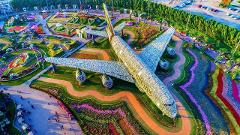 Dubai Miracle Garden Tickets with round trip transfers