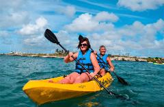 Kayak
