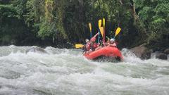 Tour de Rafting: La Emoción del Río Pejibaye
