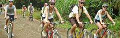 Ruta en Bicicleta: Naturaleza y Cultura sobre Ruedas